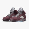 Air Jordan 5 Retro SE