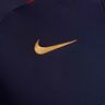 Nike Polera Paris Saint-Germain Strike