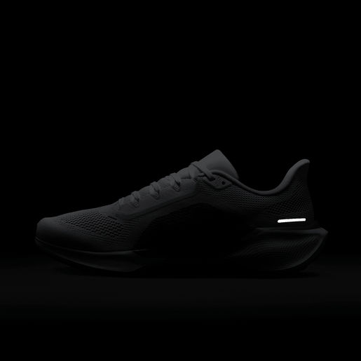 Nike Pegasus 41