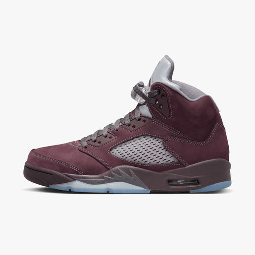 Air Jordan 5 Retro SE