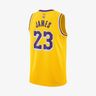 Los Angeles Lakers Icon Edition 2022/23