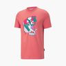 Puma Fandom