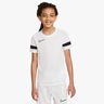 Nike Dri-FIT Academy 21