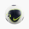Nike Futsal Pro
