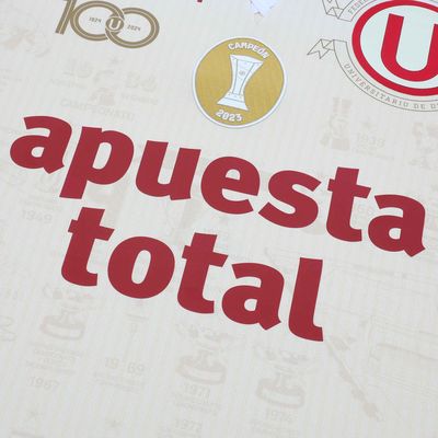 Camiseta Estampada Universitario 100 Años Oficial