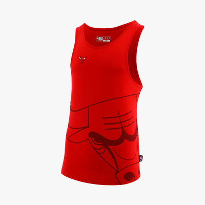 NBA Chicago Bulls