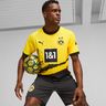 Puma Camiseta Borussia Dortmund Local 23/24