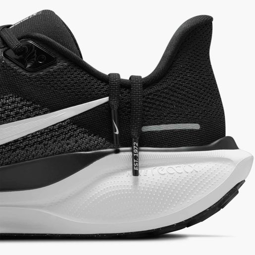 Nike Pegasus 41