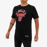 NBA Chicago Bulls