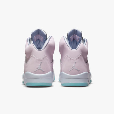 Air Jordan 5 Retro SE