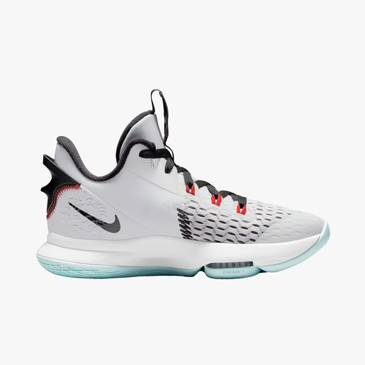 LeBron Witness 5