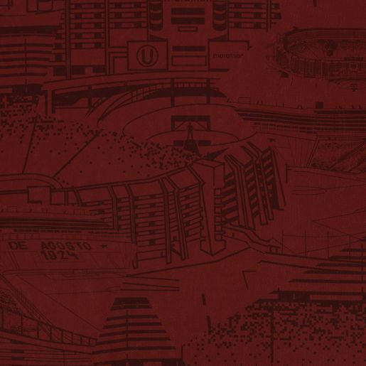 Camiseta Niño Universitario Alterna 2024