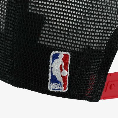 NBA Bulls