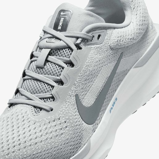 Nike Winflo 11