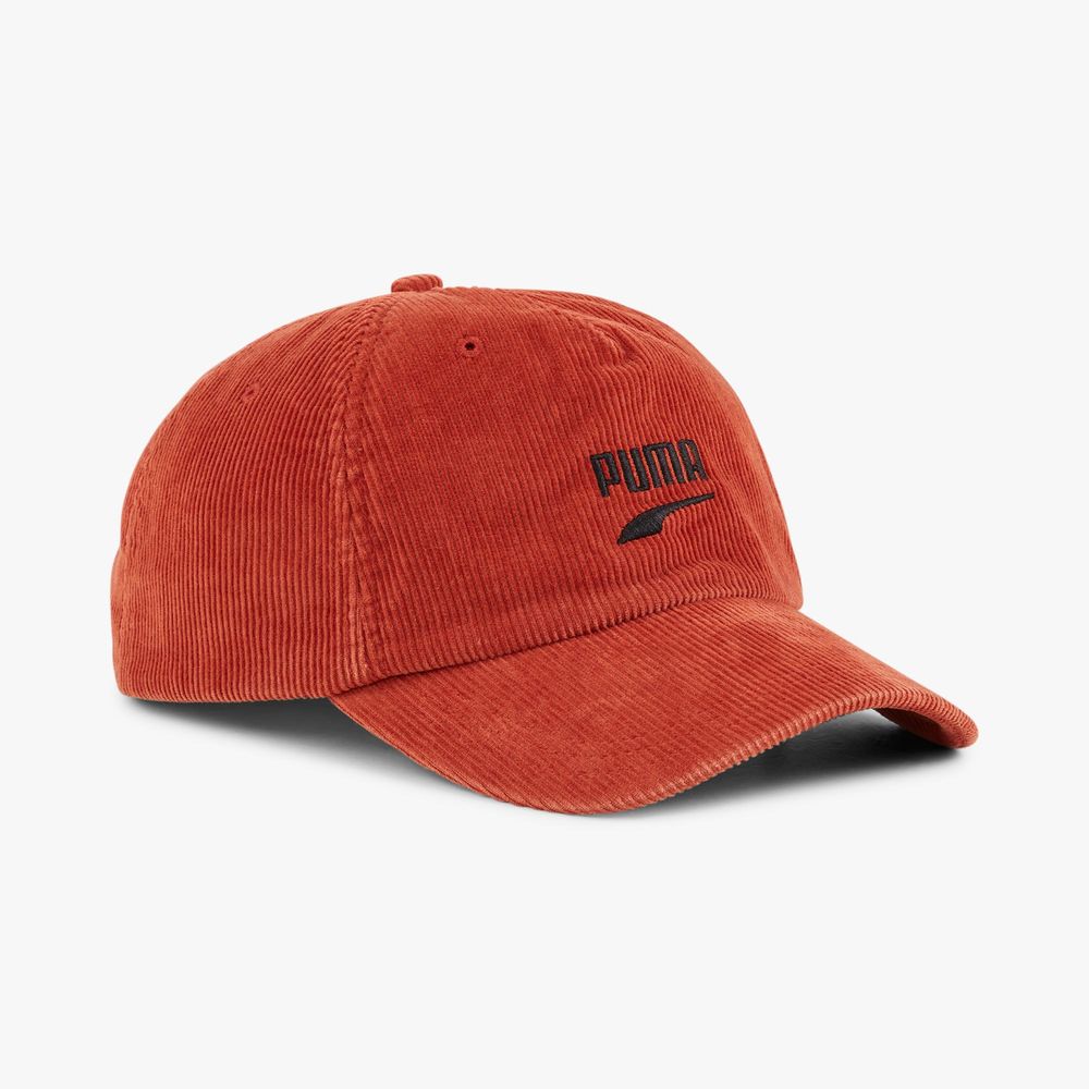 Puma Skate Dad