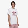 adidas Adicolor Classics Trefoil