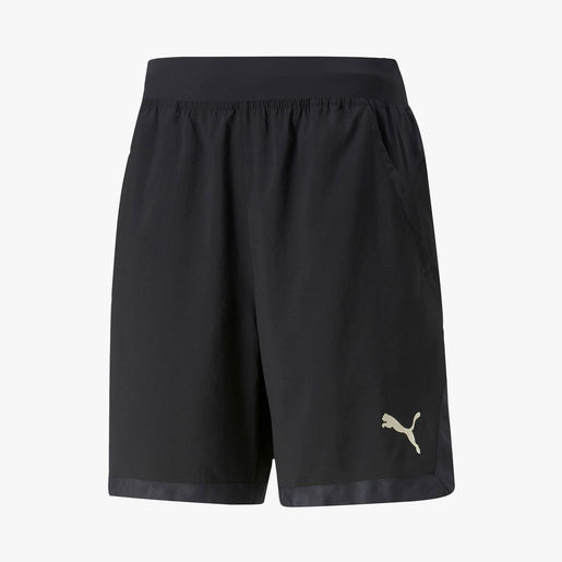 Puma Off Season