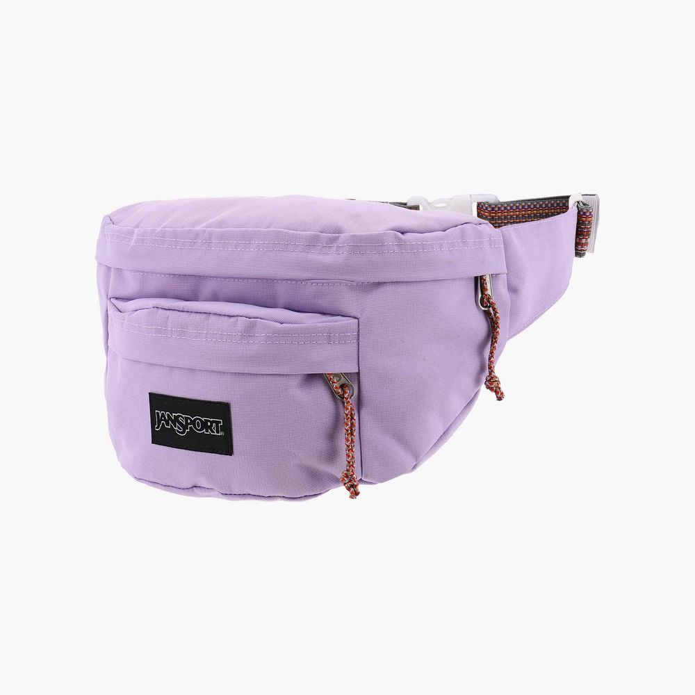 JANSPORT Swing Marsupio Unisex-Adulto - Accessorio Da Viaggio, Compatto, Con Tasca Interna, 36,8x15,2x7,6 Cm