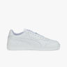 Puma Court Guard