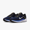 Nike Winflo 10