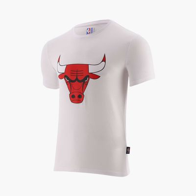 NBA Basic Primary Logo