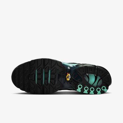 Nike Air Max Plus