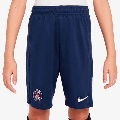 Nike Paris Saint-Germain Academy Pro