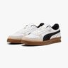 Puma Indoor
