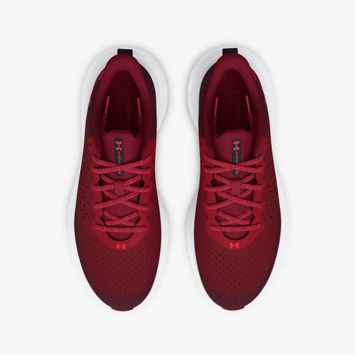 Under Armour Zapatilla Infinite
