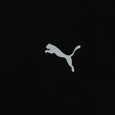 Puma Run Favourite