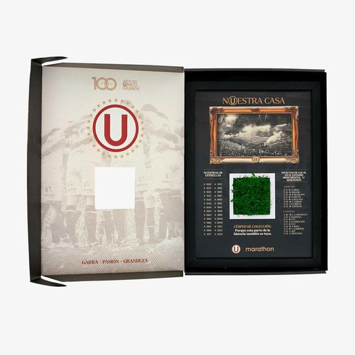 Césped Colección Cuadro Monumental U Marathon