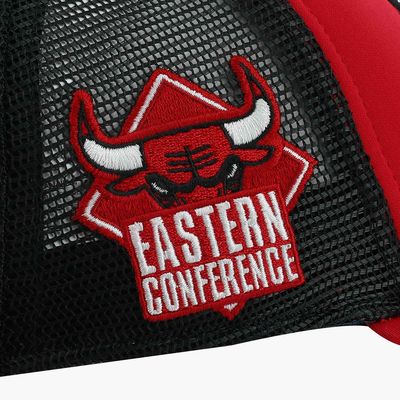 NBA Bulls