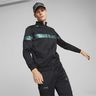 Puma Mercedes-AMG Petronas Motorsport Metal Energy