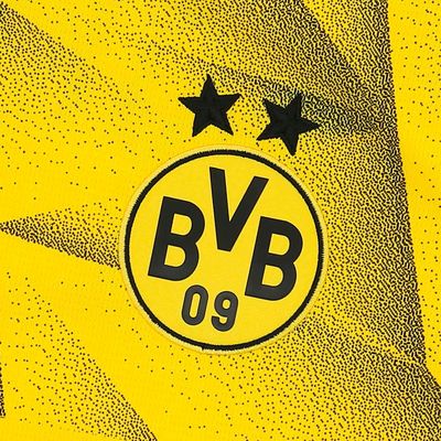 Puma Camiseta Borussia Dortmund Alterna 23/24