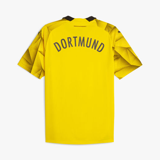 Puma Camiseta Borussia Dortmund Alterna 23/24