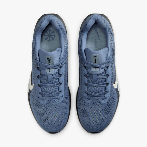 Nike Zapatillas Winflo 11