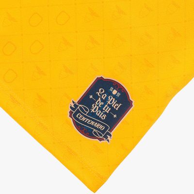 Camiseta FEF Alterna 100 años
