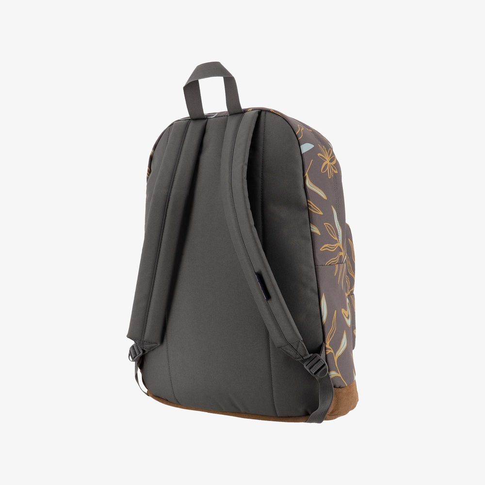 JanSport Right Pack