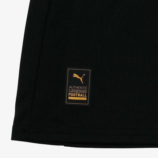 Puma Camiseta Manchester City 25/26 visita