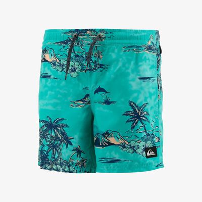 Quiksilver Ropa de Baño Surfsilk Scallop 19