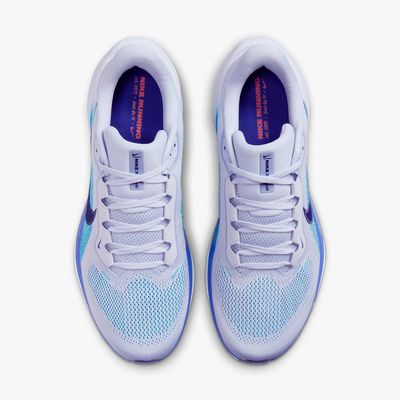 Nike Pegasus 41
