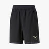 Puma Off Season