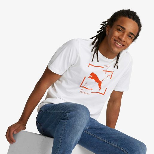 Puma Cat