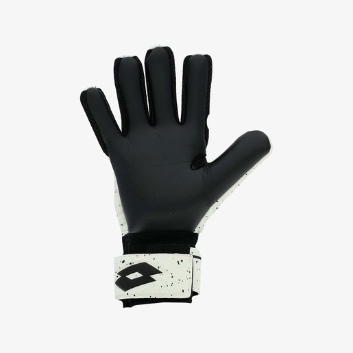 Lotto Spider 700
