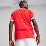 Puma Austria Réplica Home 2024