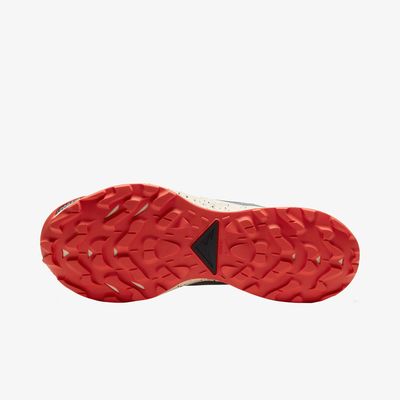 Nike Pegasus Trail 2 GORE-TEX