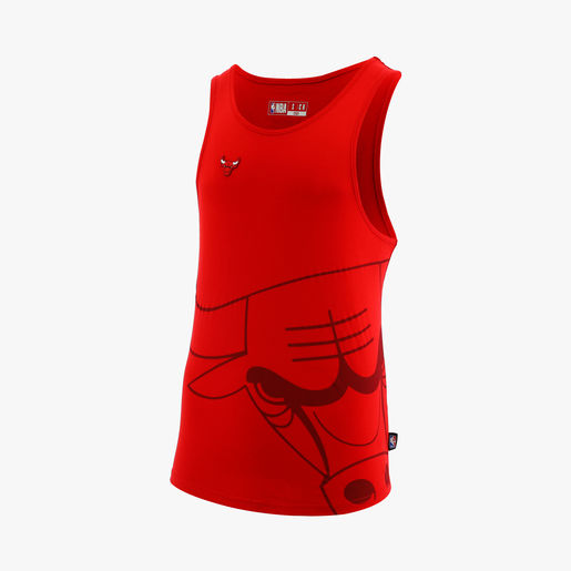 NBA Chicago Bulls