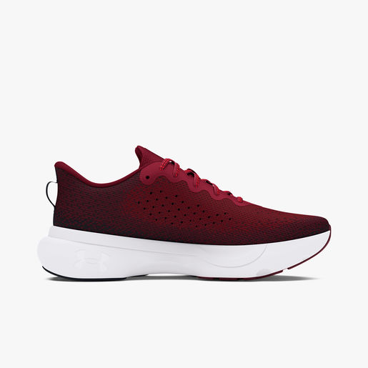 Under Armour Zapatilla Infinite