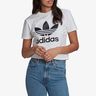 adidas Adicolor Classics Trefoil