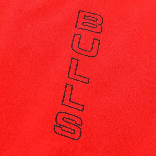 NBA Casaca Bulls